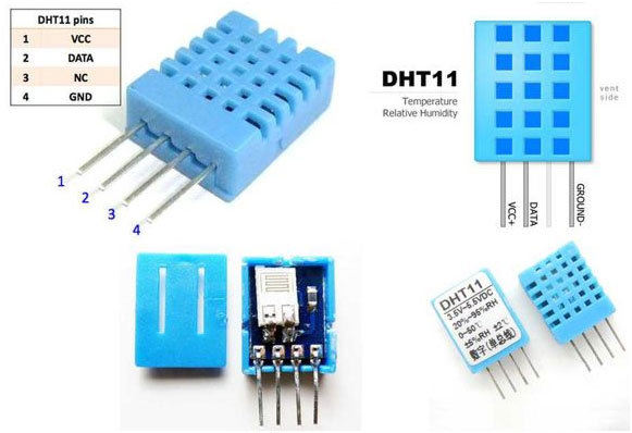 Stemedu DHT11 Humidity and Temperature Sensor Module 3.3V-5V Digital Temp  Humidity Sensor 20%~90% RH Humidity Measure Range 0~50℃ Temperature Measure  Range (Pack of 5) - Yahoo Shopping